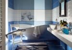 Maxima Blue