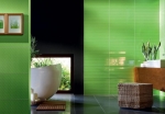 Colour Green