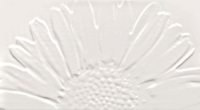 Sunflower White 593x327 / 8mm