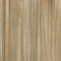 Exotic 1 598x598 / 11mm