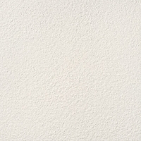 Graniti White 1 MAT 598x598 / 11mm