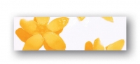 Nimfea 12 200x61 / 7mm