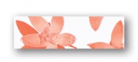 Nimfea 13 200x61 / 7mm