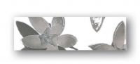 Nimfea 16 200x61 / 7mm