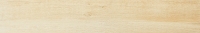Modern Birch Beige 898x148 / 11mm