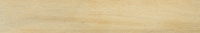 Modern Birch Gold 898x148 / 11mm