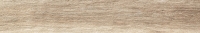 Modern Ipe Beige 898x148 / 11mm