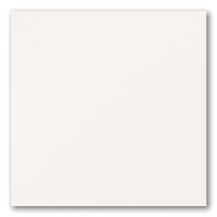 White R.1 448x448 / 8,5mm