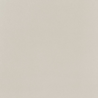Elementary dust MAT 598x598 / 11mm