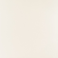Elementary white MAT 598x598 / 11mm