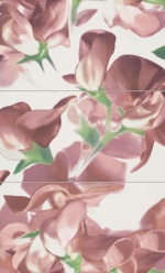 Bloom Carmine 593x985 / 8mm