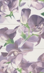 Bloom Violet 593x985 / 8mm