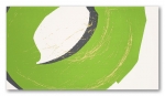 Pop Green 593x327 / 8mm