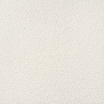 Graniti White 1 MAT 598x598 / 11mm