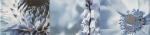 Maxima blue 2 448x100 / 8mm