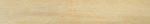 Modern Birch Gold 898x148 / 11mm