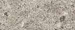 Modern Stone grey 250x62 / 9mm