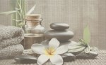 ДЕКОР 25/40 OLIVIA СІРИЙ SPA1
