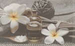 ДЕКОР 25/40 OLIVIA СІРИЙ SPA2