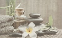 ДЕКОР 25/40 OLIVIA СІРИЙ SPA1