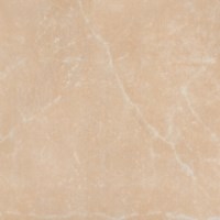 ГРЕС ГЛАЗ 42/42 TREVOR БЕЖ